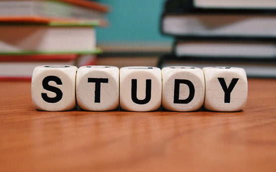 The word study spelt out on dice on a desk