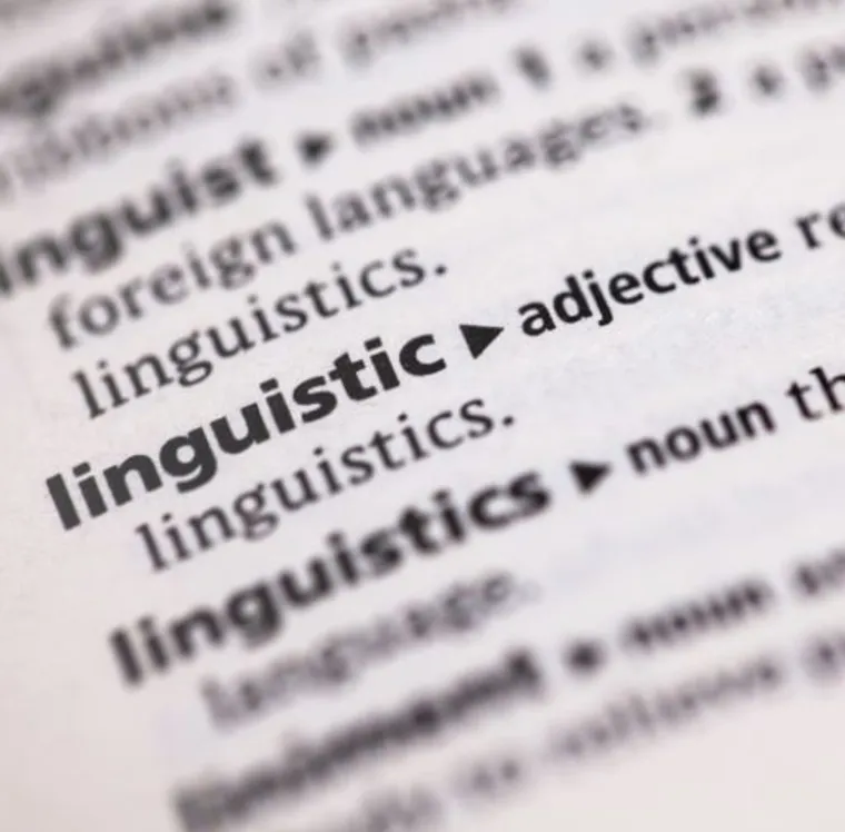 Dictionary showing linguistics