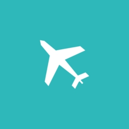 International plane icon